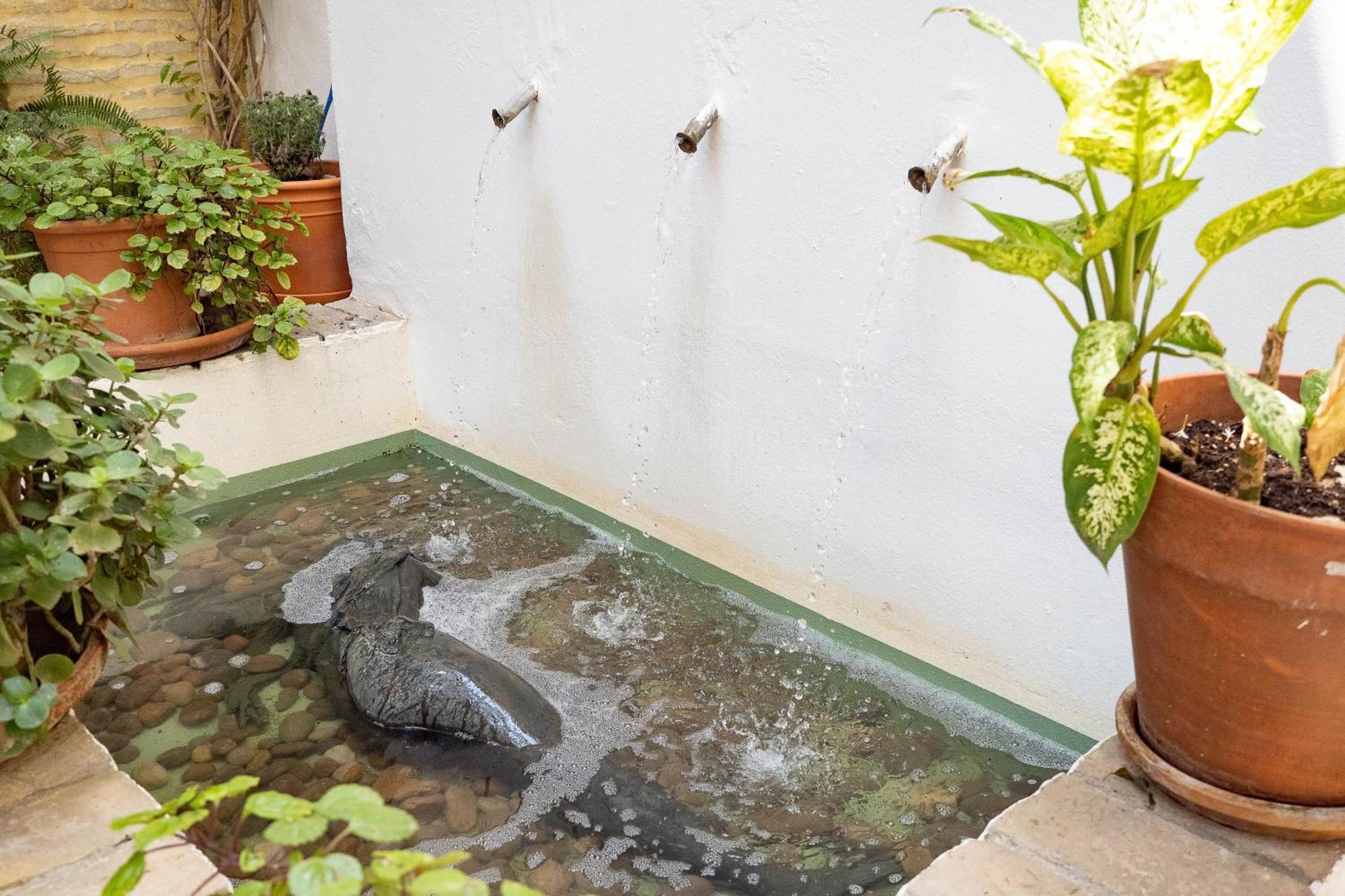 산루카데바라메다 La Casa 1832 Boutique B&B 외부 사진